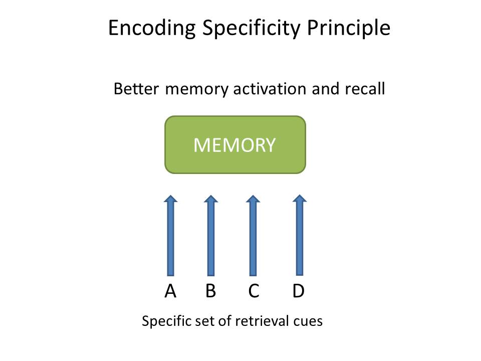 encoding specificity principle