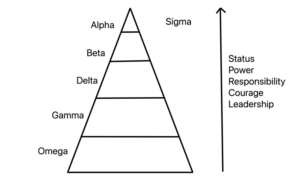 male hierarchy pyramid