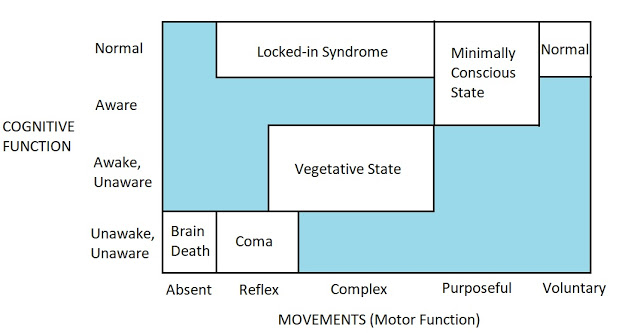 coma states- what is a coma