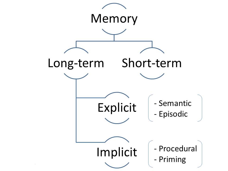 memory types in psychology