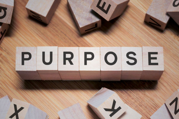 finding purpose