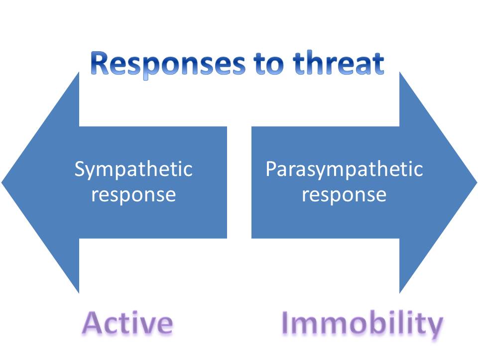 responses to threat