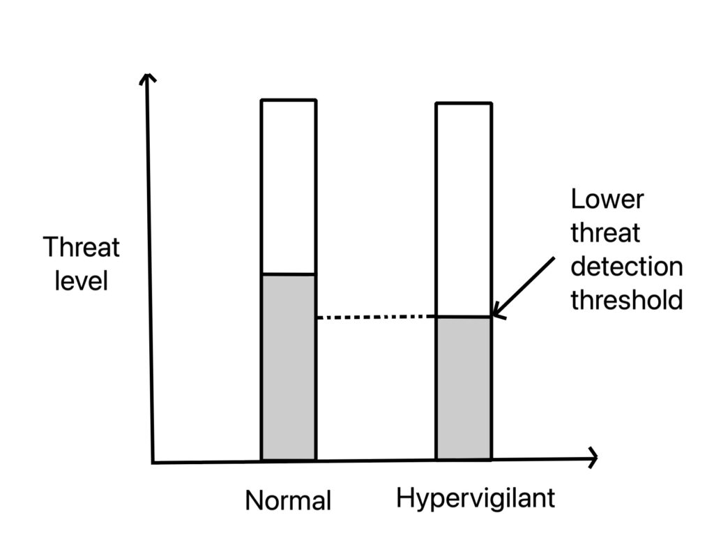 hypervigilant state