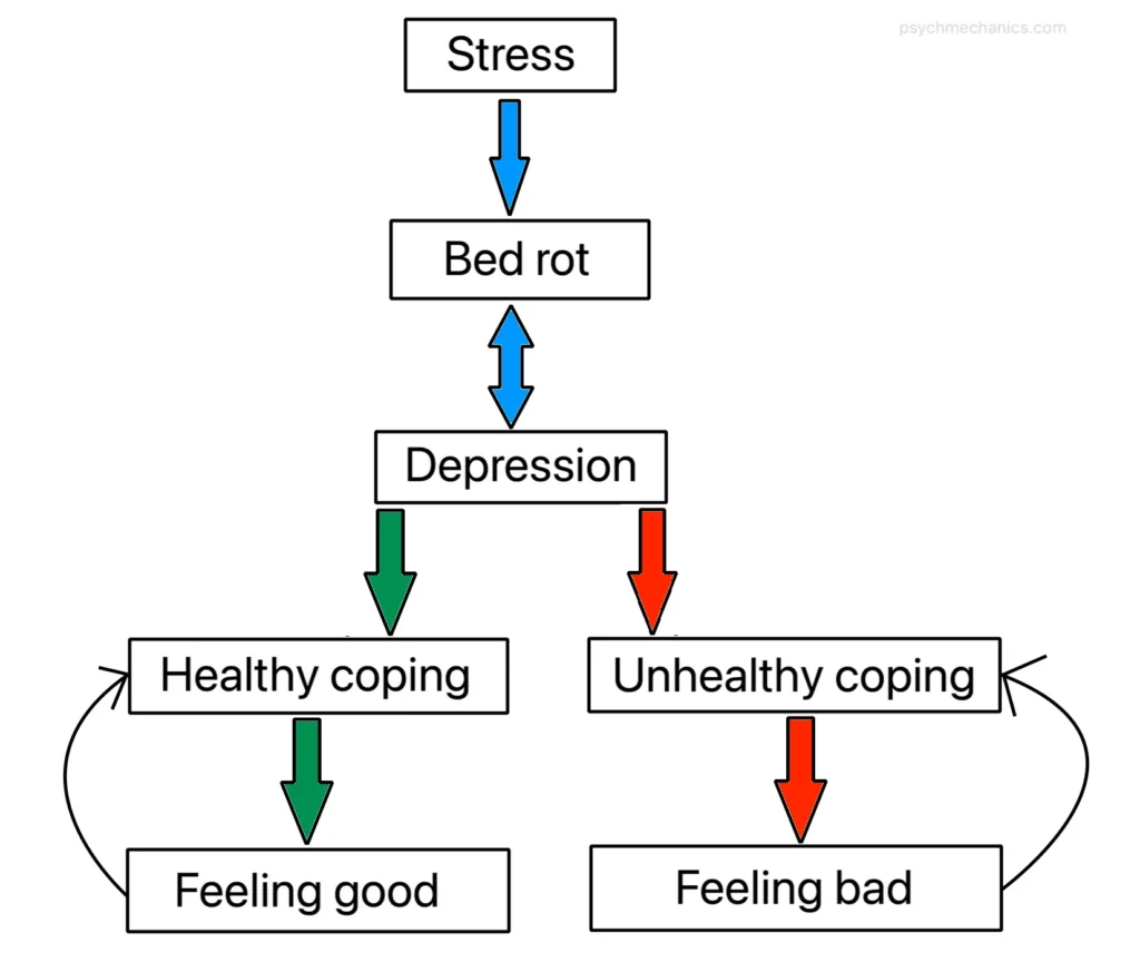 bed rot depression cycle