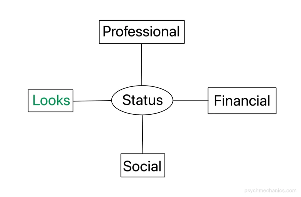 status aspects diagram